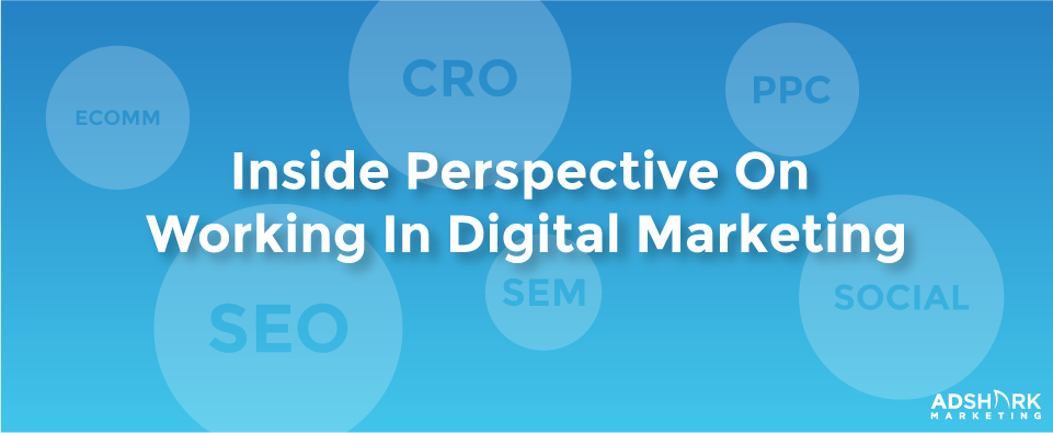 Inside Perspective On Working In Digital Marketing