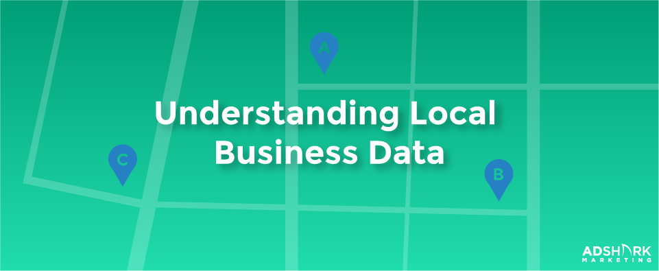 Understanding Local Business Data