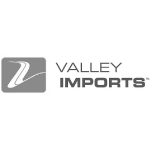 Valleyimports Greyscalelogo